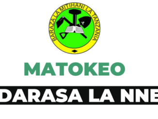 NECTA Standard Four Results 2025, Matokeo Darasa la Nne 2025, NECTA STD Four Results 2025/2026, Matokeo Darasa la Nne 2025/2026, NECTA SFNA results 2025/2026