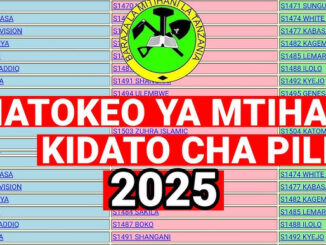 NECTA Form Two Results 2025,Matokeo Kidato Cha Pili 2025,NECTA Matokeo Form Two 2025/2026, Matokeo Kidato Cha Pili 2025/2026, FTNA Results 2025/2026 Download PDF,Matokeo Kidato Cha Pili 2025/2026,NECTA Form Two Results 2025/2026