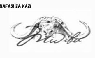 Mwiba Holdings Limited, Ajira Mpya Mwiba Holdings Limited, Mwiba Holdings Limited Jobs 2026, Jobs at Mwiba Holdings Limited, Nafasi za Kazi Mwiba Holdings Limited, Ajira Mpya