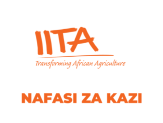 IITA Tanzania Jobs 2026, Jobs at IITA Tanzania, Ajira Mpya IITA Tanzania, Nafasi Mpya za Kazi IITA Tanzania, Nafasi za Ajira IITA Tanzania, Nafasi za Kazi IITA Tanzania, Jobs at IITA, IITA Jobs 2026, The International Institute of Tropical Agriculture (IITA), JOBS TANZANIA, Jobs Tanzania 2026, Ajira Mpya 2026, Ajira Mpya IITA, AJIRA TANZANIA 2026, AjiraLeo Tanzania