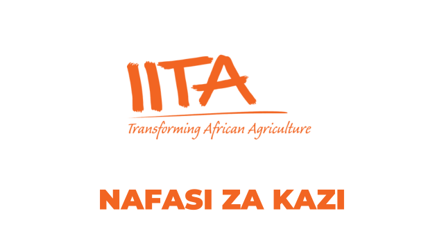 IITA Tanzania Jobs 2026, Jobs at IITA Tanzania, Ajira Mpya IITA Tanzania, Nafasi Mpya za Kazi IITA Tanzania, Nafasi za Ajira IITA Tanzania, Nafasi za Kazi IITA Tanzania, Jobs at IITA, IITA Jobs 2026, The International Institute of Tropical Agriculture (IITA), JOBS TANZANIA, Jobs Tanzania 2026, Ajira Mpya 2026, Ajira Mpya IITA, AJIRA TANZANIA 2026, AjiraLeo Tanzania
