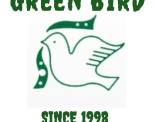 Ajira Mpya 2026, Ajira Mpya Green Bird Education Institution, AJIRA TANZANIA 2026, AjiraLeo Tanzania, Jobs 2026, Jobs at Green Bird Education Institution, JOBS TANZANIA, Green Bird Education Institution, Green Bird Education Institution Jobs 2026, Nafasi za Kazi Green Bird Education Institution