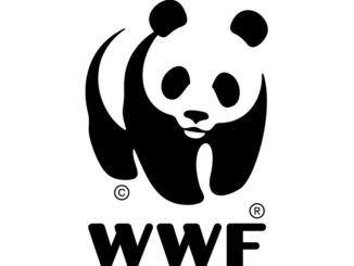 Jobs at WWF Tanzania, Ajira Mpya WWF Tanzania, WWF Tanzania Jobs 2026, Nafasi za Kazi WWF Tanzania, Ajira Mpya Tanzania