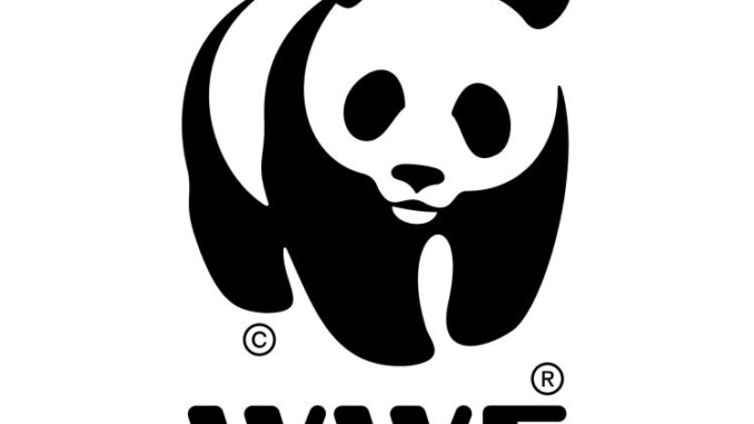 Jobs at WWF Tanzania, Ajira Mpya WWF Tanzania, WWF Tanzania Jobs 2026, Nafasi za Kazi WWF Tanzania, Ajira Mpya Tanzania