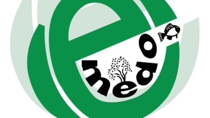 Jobs at TAFIRC April 2026, Ajira Mpya TAFIRC, Nafasi za Kazi TAFIRC, TAFIRC Jobs 2026, Nafasi Mpya za Ajira TAFIRC