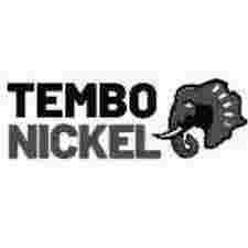 Jobs at Tembo Nickel Corporation