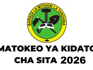 NECTA Form Six Results 2026, Matokeo Kidato Cha SITA 2026, ACSEE NECTA Results 2026, Matokeo Form Six 2026, Form Six Results 2026