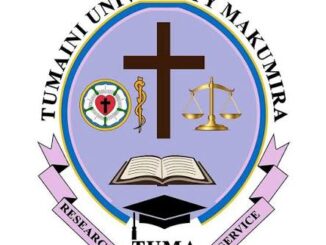 Jobs at Tumaini University Makumira, Ajira Mpya Tumaini University Makumira (TUMA), Tumaini University Makumira (TUMA) Jobs 2026, Nafasi za Kazi Tumaini University Makumira (TUMA), Ajira Mpya Tanzania 2026